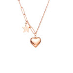 Collar Corazón y Estrella, Acero