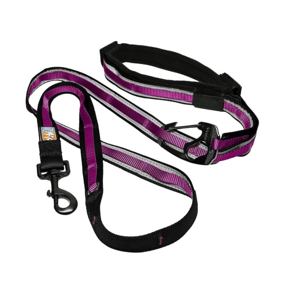 Kurgo Reflect Protect Quantum Leash - Morado