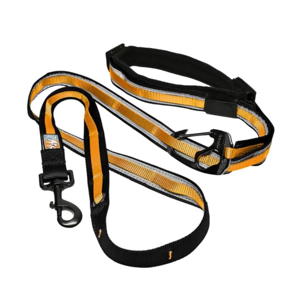 Kurgo Reflect Protect Quantum Leash – Naranja