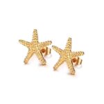 Aretes Estrellitas de Mar Acero