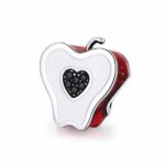 Charm Manzana